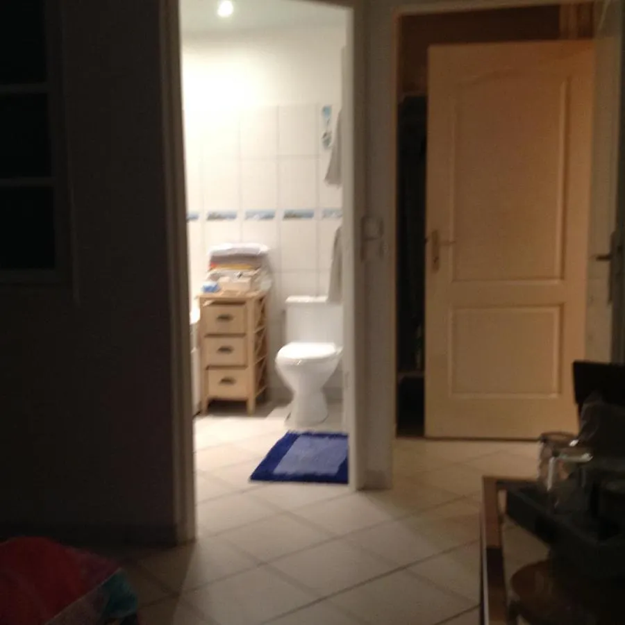 Les Roches De Coigne Apartment Sainte-Anne-sur-Vilaine France
